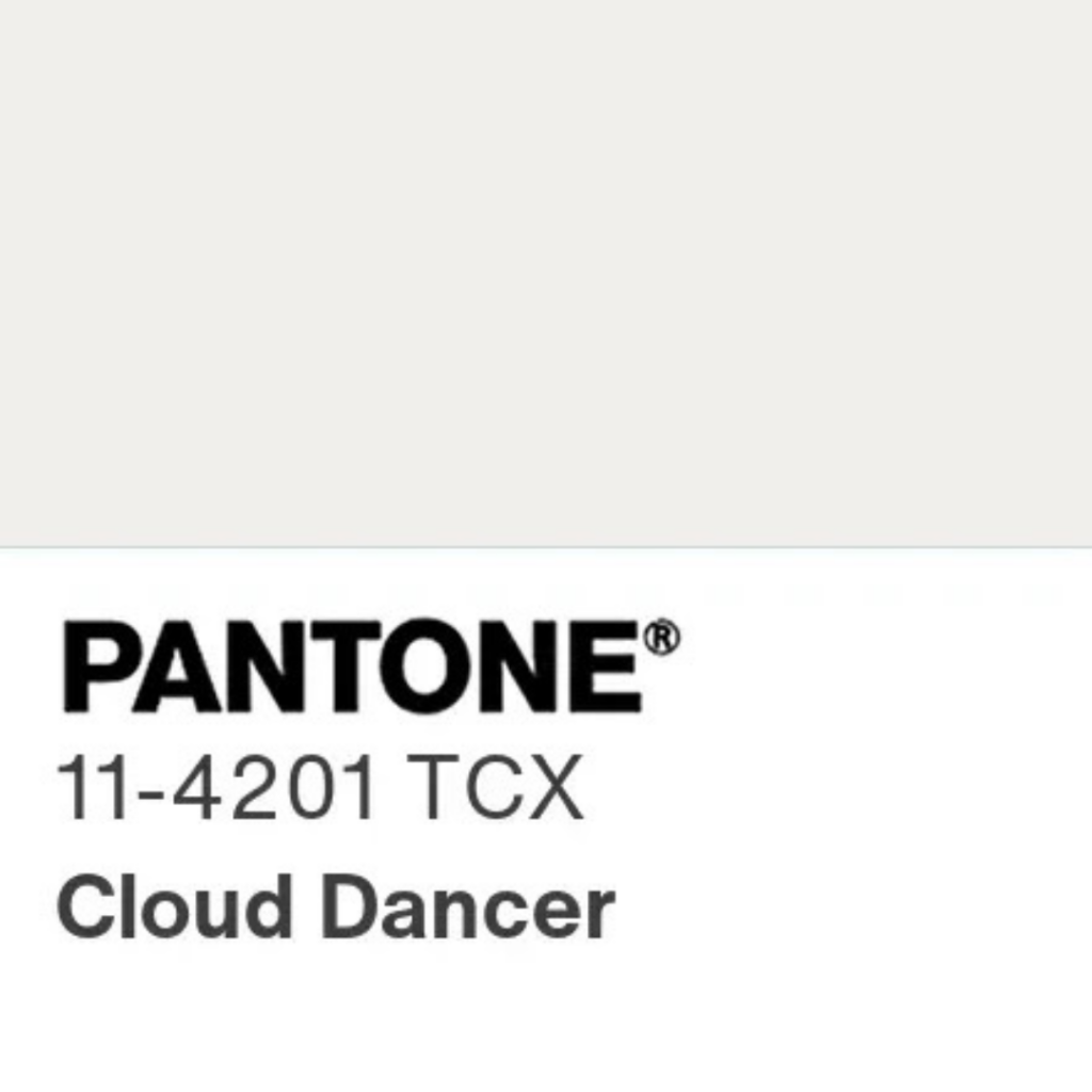 Pantone 11-4201 Cloud Dancer color swatch, the Pantone Color of the Year 2026