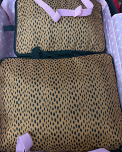 Uses of packing cubes when traveling